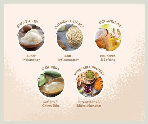 Show full view: Pet Head On All Paws Oatmeal Cat & Dog Paw Butter Soothes & Nourishes Paws & Noses, 1.4-fl oz jar slide 4 of 7