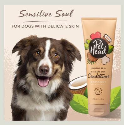 Show full view: Pet Head Sensitive Soul Gentle Formula Dog Conditioner, 8.4-fl oz bottle slide 3 of 7