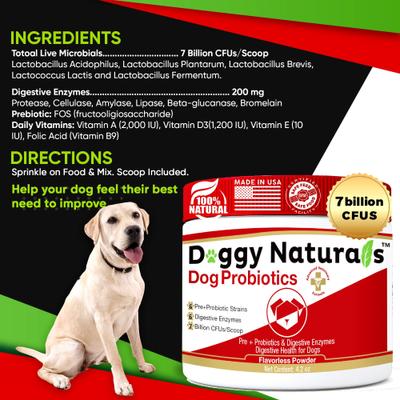 Show full view: Pet Health Pharma Advanced Max-Strength Digestive Health Probiotic Powder Dog Supplement, 4.2-oz slide 3 of 9