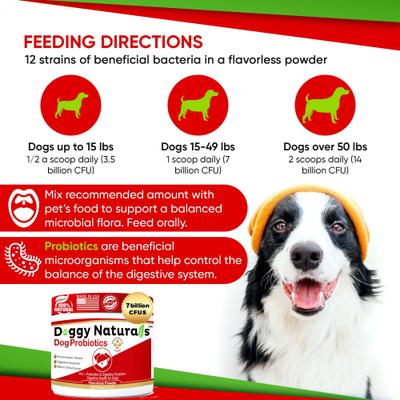 Show full view: Pet Health Pharma Advanced Max-Strength Digestive Health Probiotic Powder Dog Supplement, 4.2-oz slide 5 of 9