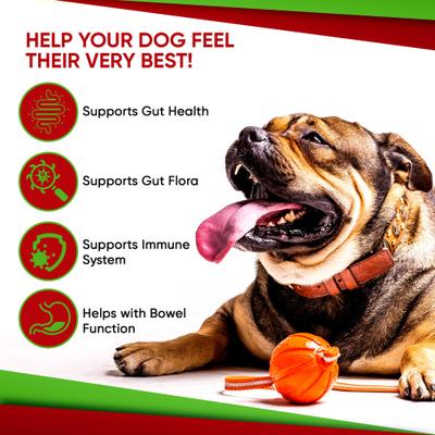 Show full view: Pet Health Pharma Advanced Max-Strength Digestive Health Probiotic Powder Dog Supplement, 4.2-oz slide 8 of 9