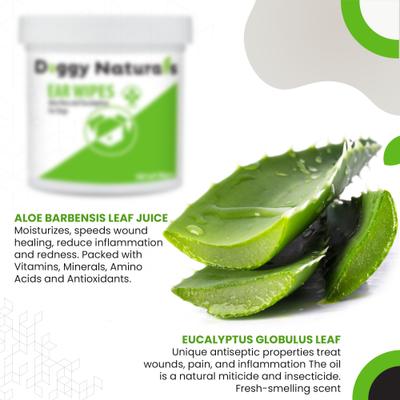 Show full view: Pet Health Pharma Aloe & Eucalyptus Cat & Dog Ear Cleaner Wipes, 100 count slide 7 of 10