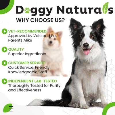 Show full view: Pet Health Pharma Aloe & Eucalyptus Cat & Dog Ear Cleaner Wipes, 100 count slide 8 of 10