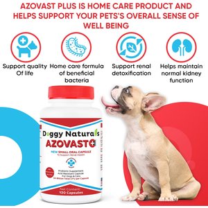 Pet Health Pharma Azovast Plus Capsule Kidney Supplement for Dogs & Cats, 120 count