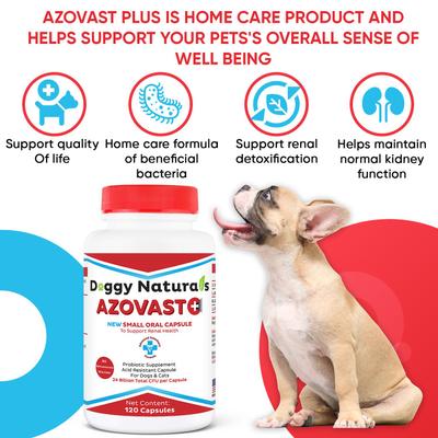 Show full view: Pet Health Pharma Azovast Plus Capsule Kidney Supplement for Dogs & Cats, 120 count slide 8 of 11