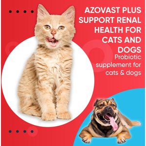 Pet Health Pharma Azovast Plus Capsule Kidney Supplement for Dogs & Cats, 120 count