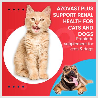 Show full view: Pet Health Pharma Azovast Plus Powder Kidney Supplement for Dogs & Cats, 6-oz jar slide 9 of 11