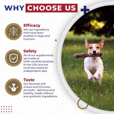 Show full view: Pet Health Pharma Cardio Heart Health Chicken Flavored Tablets Supplements for Cats & Dogs, 120 count slide 7 of 10