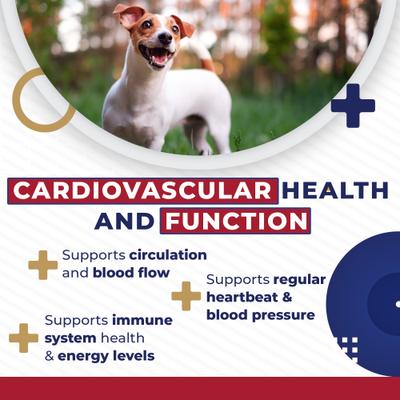 Show full view: Pet Health Pharma Cardio Heart Health Chicken Flavored Tablets Supplements for Cats & Dogs, 120 count slide 8 of 10