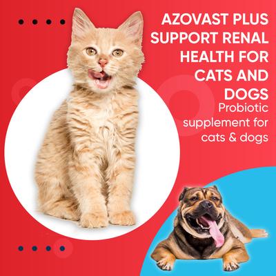 Show full view: Pet Health Pharma Oral Paste Azovast Plus for Dogs & Cats, 60 count slide 8 of 9
