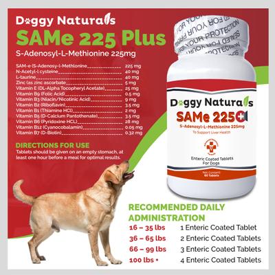 Show full view: Pet Health Pharma SAM-e 225-mg SAMeLQ Liver Support Dog Supplement, 60 count slide 3 of 10