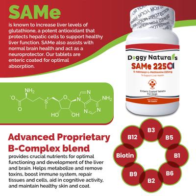 Show full view: Pet Health Pharma SAM-e 225-mg SAMeLQ Liver Support Dog Supplement, 60 count slide 5 of 10