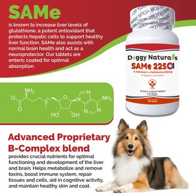 Show full view: Pet Health Pharma SAM-e 225-mg SAMeLQ Liver Support Dog Supplement, 60 count slide 7 of 10