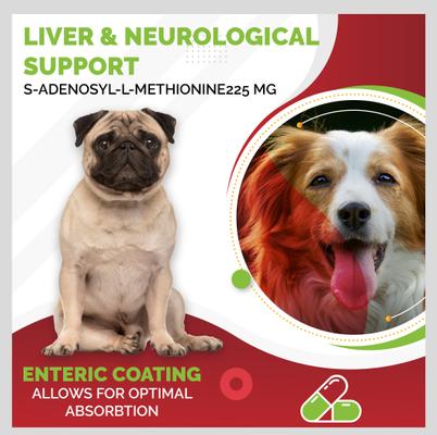 Show full view: Pet Health Pharma SAM-e 225-mg SAMeLQ Liver Support Dog Supplement, 60 count slide 8 of 10