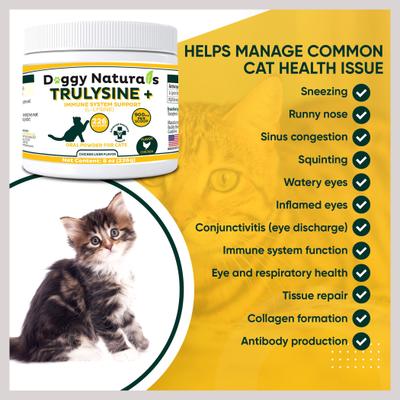 Show full view: Pet Health Pharma Trulysine & Immune Support Oral Powder Cat Supplement, 8-oz bottle slide 5 of 10