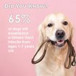 Show in main carousel: Pet Health Solutions Cranberry D-Mannose Urinary Tract Support Chews Supplement for Dogs, 60 count slide 5 of 10