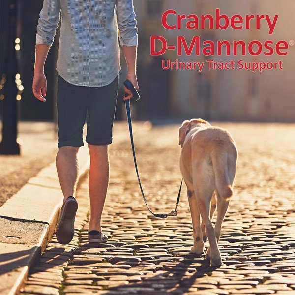 Show full view: Pet Health Solutions Cranberry D-Mannose Urinary Tract Support Chews Supplement for Dogs, 60 count slide 6 of 10