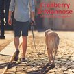 Show in main carousel: Pet Health Solutions Cranberry D-Mannose Urinary Tract Support Chews Supplement for Dogs, 60 count slide 6 of 10