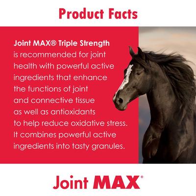 Show full view: Pet Health Solutions Joint Max Triple Strength Horse Supplement, 2880-grams slide 8 of 9