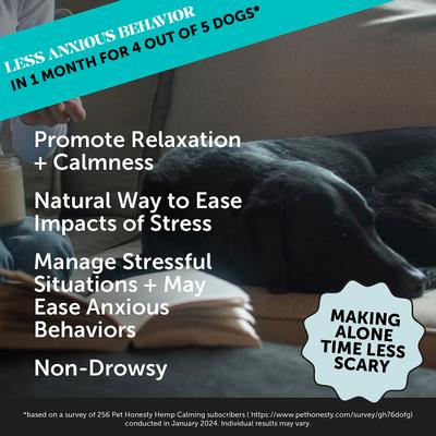 Show full view: Pet Honesty 10-for-1 Multivitamin with Glucosamine Snacks Soft Chews Dog Supplement, 90 count & Pet Honesty Hemp Calming Anxiety & Hyperactivity Soft Chews Dog Supplement, 90 count slide 7 of 10