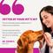 Show in main carousel: Pet Honesty 10-in-1 Multivitamin with Probiotics, Glucosamine & Omega-3 Chicken Flavored Soft Chews Vitamins & Supplements for Dogs, 90 count slide 6 of 12