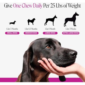 Pet Honesty 10-in-1 Multivitamin with Probiotics, Glucosamine & Omega-3 Chicken Flavored Soft Chews Vitamins & Supplements for Dogs, 90 count