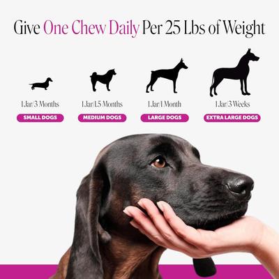 Show full view: Pet Honesty 10-in-1 Multivitamin with Probiotics, Glucosamine & Omega-3 Chicken Flavored Soft Chews Vitamins & Supplements for Dogs, 90 count slide 8 of 12