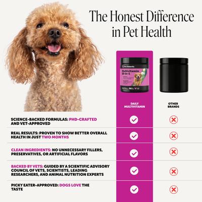 Show full view: Pet Honesty 10-in-1 Multivitamin with Probiotics, Glucosamine & Omega-3 Chicken Flavored Soft Chews Vitamins & Supplements for Dogs, 90 count slide 7 of 12