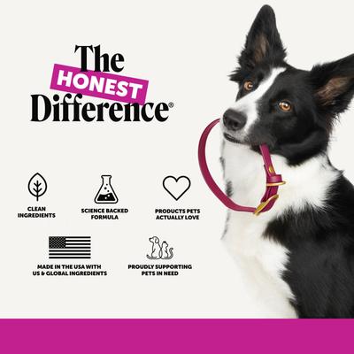 Show full view: Pet Honesty 10-in-1 Multivitamin with Probiotics, Glucosamine & Omega-3 Chicken Flavored Soft Chews Vitamins & Supplements for Dogs, 90 count slide 9 of 12