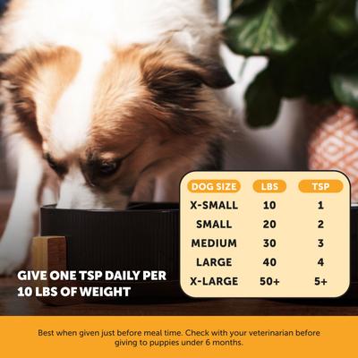 Show full view: Pet Honesty Allergy Anti-Itch Salmon Oil Turkey Flavored Allergy & Itch Relief Supplement for Dogs, 16-fl oz bottle slide 6 of 12