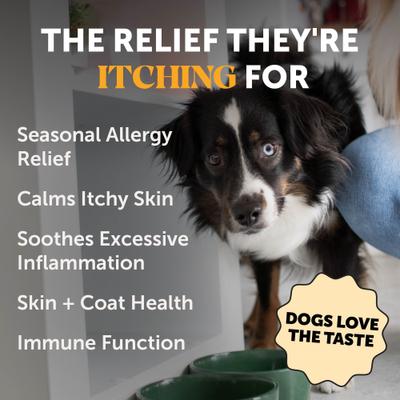 Show full view: Pet Honesty Allergy Anti-Itch Salmon Oil Turkey Flavored Allergy & Itch Relief Supplement for Dogs, 16-fl oz bottle slide 3 of 12