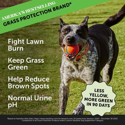 Show full view: Pet Honesty Allergy Support Immunity Strength & Digestive Health + GrassGreen Snacks Cranberry Extract with Probiotics Soft Chews Dog Supplement slide 3 of 9