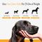 Show in main carousel: Pet Honesty Allergy Support Peanut Butter Flavored Colostrum & Turmeric Chews, Itchy Skin, Immune & Allergy Relief Supplement for Dogs, 90 count slide 8 of 12