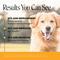 Show in main carousel: Pet Honesty Allergy Support Peanut Butter Flavored Colostrum & Turmeric Chews, Itchy Skin, Immune & Allergy Relief Supplement for Dogs, 90 count slide 4 of 12