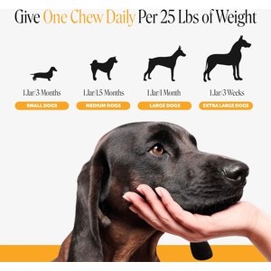 Pet Honesty Allergy Support Salmon Flavored Colostrum & Turmeric Chews, Itchy Skin, Immune & Allergy Relief Supplement for Dogs, 90 count