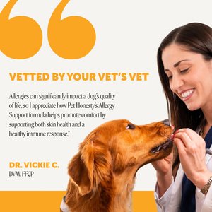 Pet Honesty Allergy Support Salmon Flavored Colostrum & Turmeric Chews, Itchy Skin, Immune & Allergy Relief Supplement for Dogs, 90 count