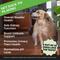 Show in main carousel: Pet Honesty Bladder Health Cranberry Bacon Flavored Soft Chews, Urinary & Kidney Supplement for Dogs, 90 count slide 3 of 13