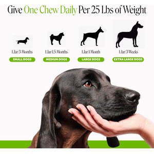 Pet Honesty Bladder Health Cranberry Chicken Flavored Soft Chews, Urinary & Kidney Supplement for Dogs, 90 count
