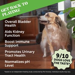 Pet Honesty Bladder Health Cranberry Chicken Flavored Soft Chews, Urinary & Kidney Supplement for Dogs, 90 count slide 2 of 8