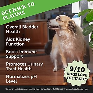 Pet Honesty Bladder Health Cranberry Chicken Flavored Soft Chews, Urinary & Kidney Supplement for Dogs, 90 count