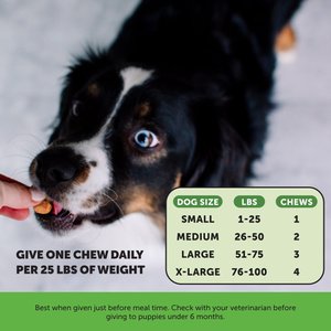Pet Honesty Bladder Health Cranberry Chicken Flavored Soft Chews, Urinary & Kidney Supplement for Dogs, 90 count