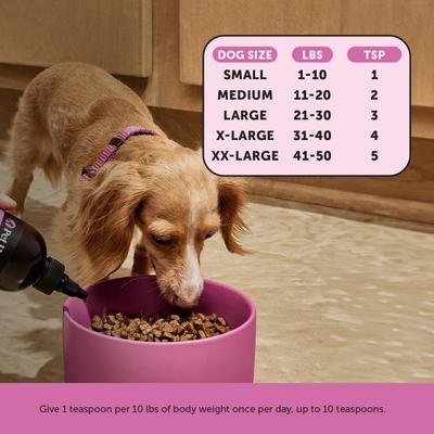 Show full view: Pet Honesty Bone Broth & Salmon Oil Turkey Flavored Liquid Multivitamin for Dogs, 12-fl oz bottle slide 6 of 11