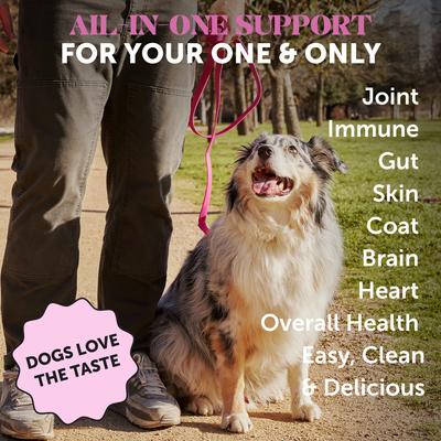 Show full view: Pet Honesty Bone Broth & Salmon Oil Turkey Flavored Liquid Multivitamin for Dogs, 12-fl oz bottle slide 3 of 11