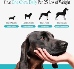 Pet Honesty Calming Hemp Chicken Flavored Calming & Anxiety Chews Supplement for Dogs, 90 count slide 2 of 9