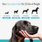 Show in main carousel: Pet Honesty Calming Hemp Chicken Flavored Calming & Anxiety Chews Supplement for Dogs, 90 count slide 8 of 13