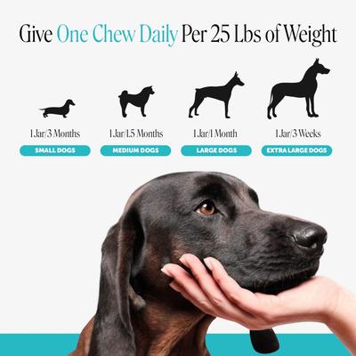 Show full view: Pet Honesty Calming Hemp Chicken Flavored Calming & Anxiety Chews Supplement for Dogs, 90 count slide 8 of 13