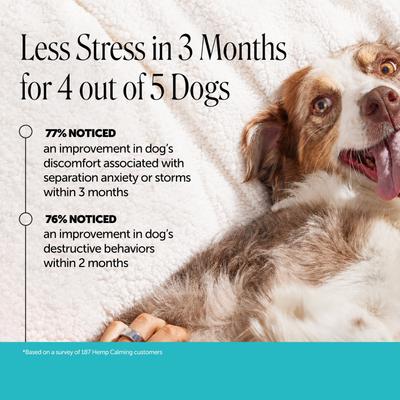 Show full view: Pet Honesty Calming Hemp Chicken Flavored Calming & Anxiety Chews Supplement for Dogs, 90 count slide 4 of 13