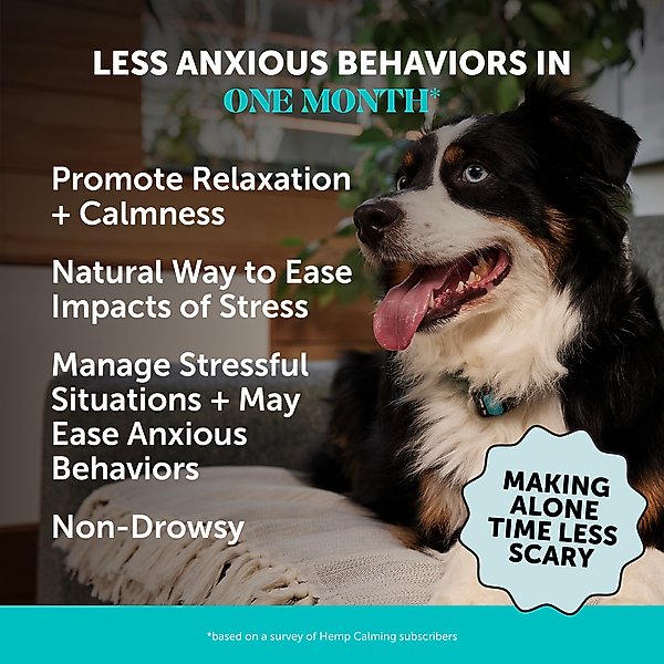 Show full view: Pet Honesty Calming Hemp Chicken Flavored Calming & Anxiety Chews Supplement for Dogs, 90 count slide 2 of 13