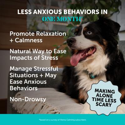 Show full view: Pet Honesty Calming Hemp Chicken Flavored Calming & Anxiety Chews Supplement for Dogs, 90 count slide 3 of 14