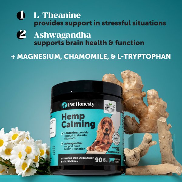 Show full view: Pet Honesty Calming Hemp Chicken Flavored Calming & Anxiety Chews Supplement for Dogs, 90 count slide 3 of 13